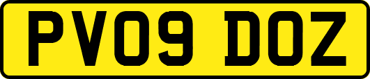 PV09DOZ