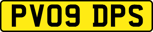 PV09DPS