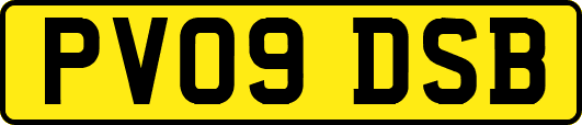 PV09DSB