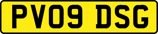 PV09DSG