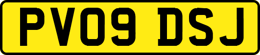 PV09DSJ
