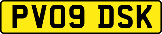 PV09DSK