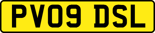 PV09DSL