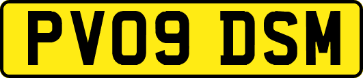PV09DSM