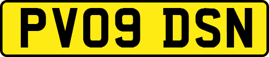 PV09DSN