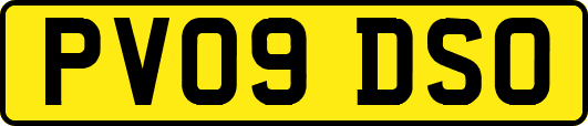 PV09DSO
