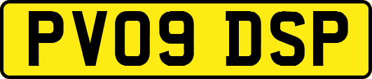 PV09DSP