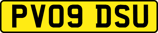 PV09DSU