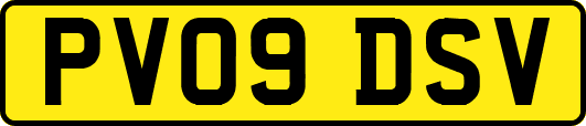 PV09DSV