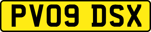 PV09DSX