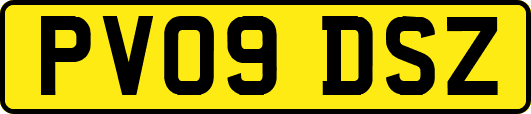 PV09DSZ