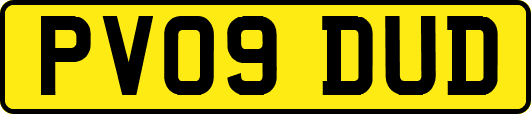 PV09DUD