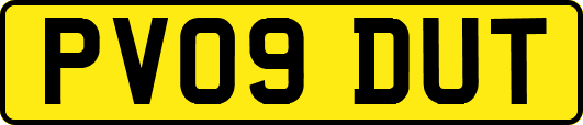 PV09DUT