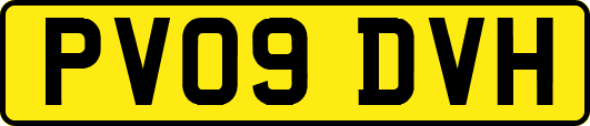 PV09DVH