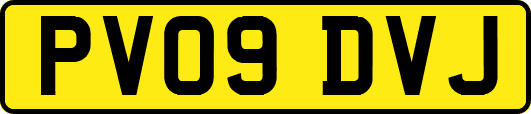 PV09DVJ