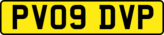 PV09DVP