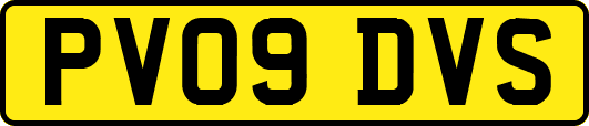 PV09DVS