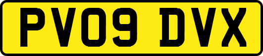 PV09DVX