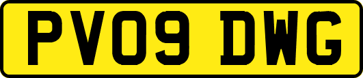 PV09DWG