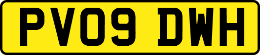 PV09DWH