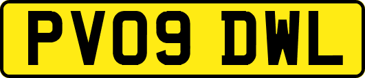 PV09DWL