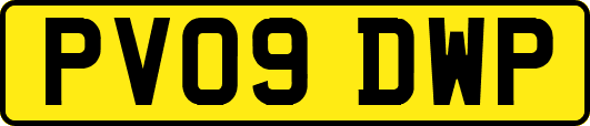 PV09DWP