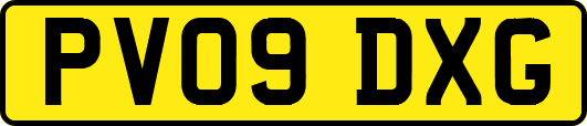 PV09DXG
