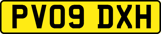 PV09DXH