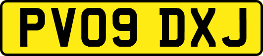 PV09DXJ