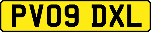 PV09DXL