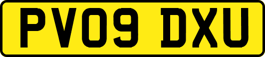 PV09DXU