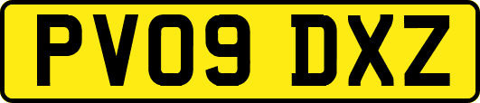 PV09DXZ