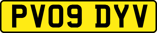 PV09DYV