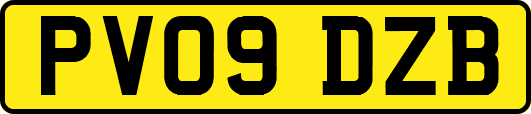 PV09DZB