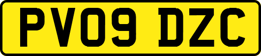 PV09DZC