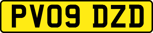 PV09DZD
