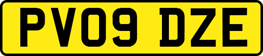 PV09DZE