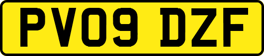 PV09DZF