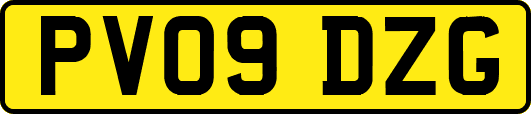 PV09DZG