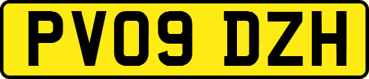 PV09DZH
