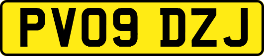 PV09DZJ