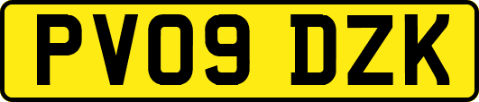 PV09DZK