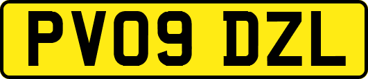 PV09DZL