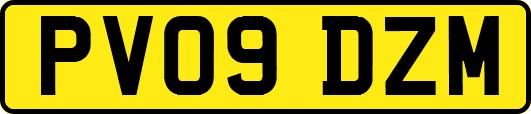 PV09DZM