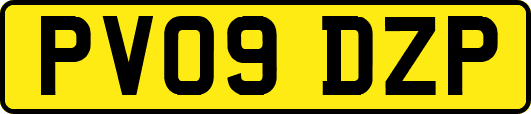 PV09DZP