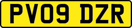 PV09DZR