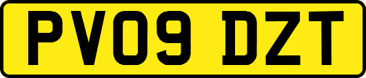PV09DZT