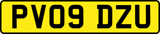 PV09DZU