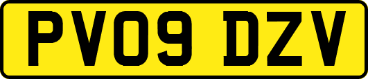 PV09DZV