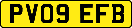 PV09EFB